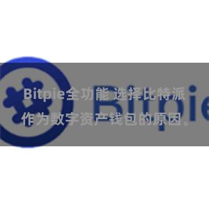 Bitpie全功能 选择比特派作为数字资产钱包的原因。