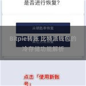 Bitpie转账 比特派钱包的冷存储功能解析