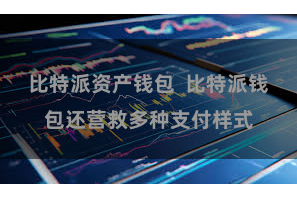 比特派资产钱包  比特派钱包还营救多种支付样式