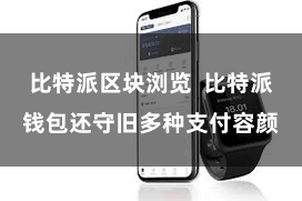 比特派区块浏览 比特派钱包还守旧多种支付容颜