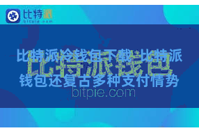 比特派冷钱包下载 比特派钱包还复古多种支付情势